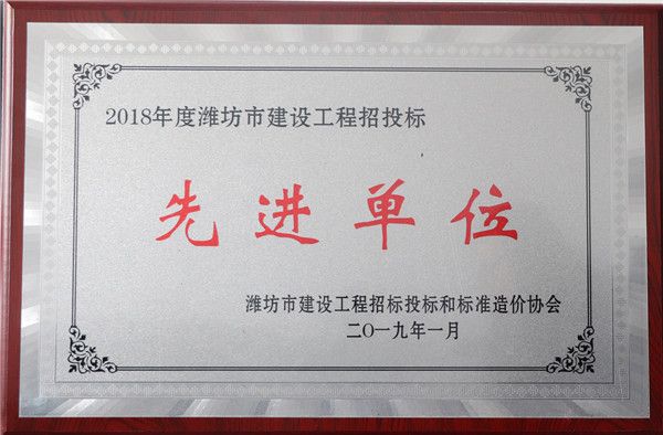 招標(biāo)代理先進(jìn)單位.jpg