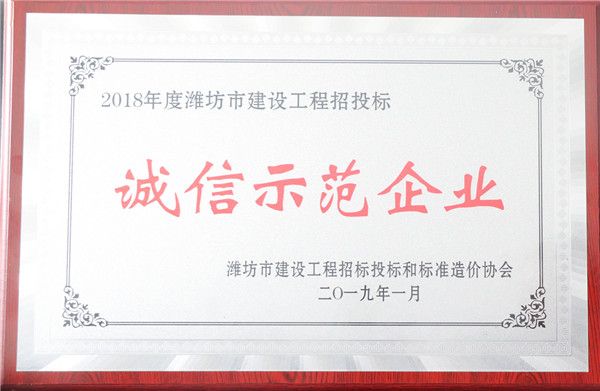 招標(biāo)代理誠信示范企業(yè).jpg
